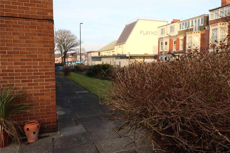 Image 11