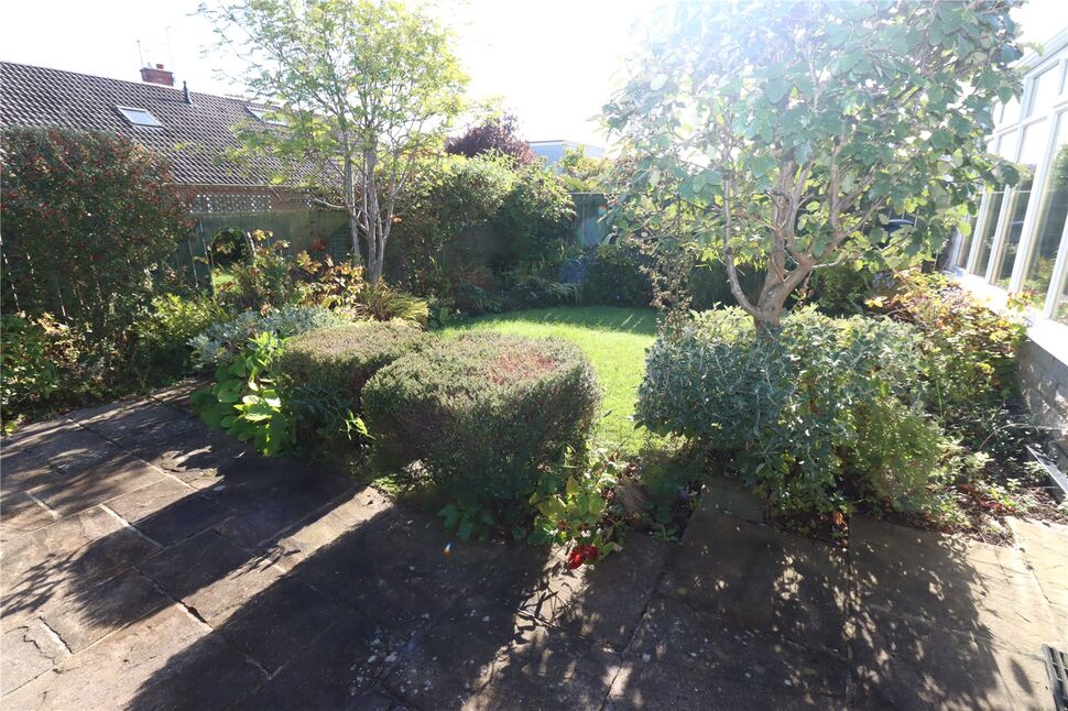 Image 20