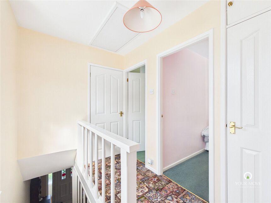 Image 8