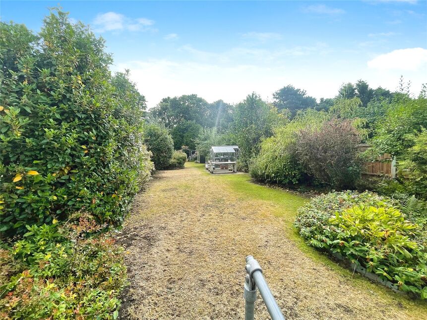 Image 15