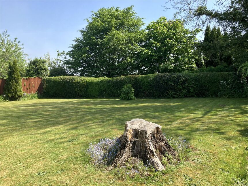 Image 20