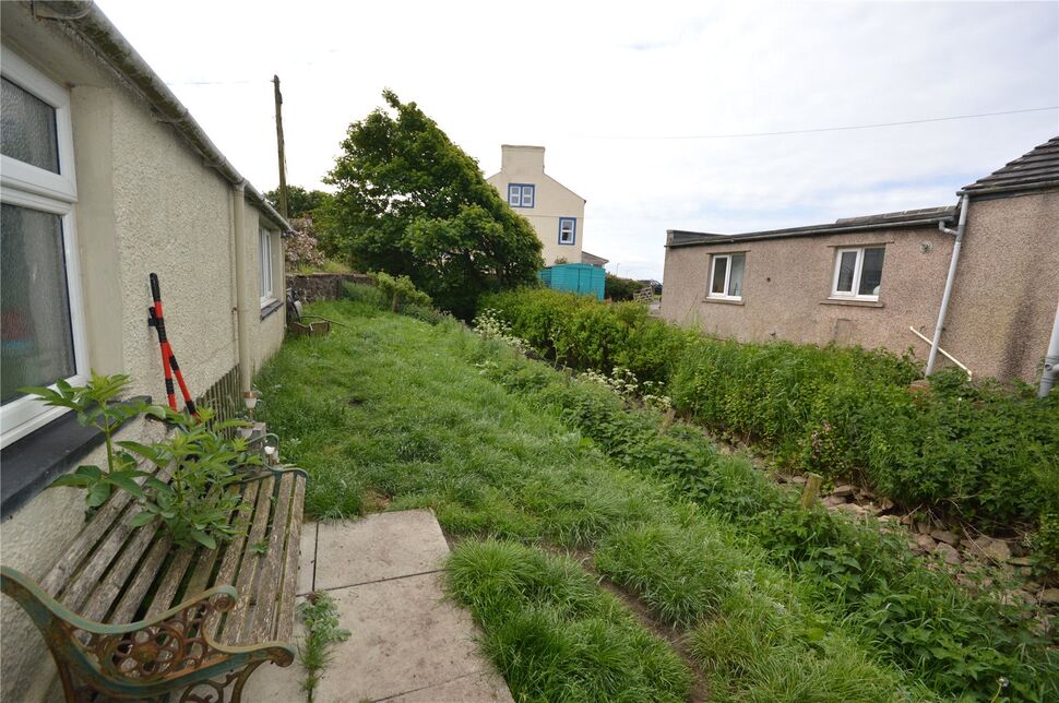 Image 14