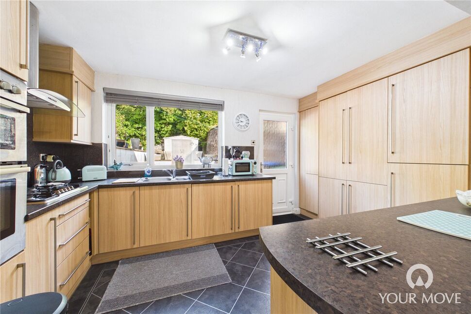 Kitchen / Living Area