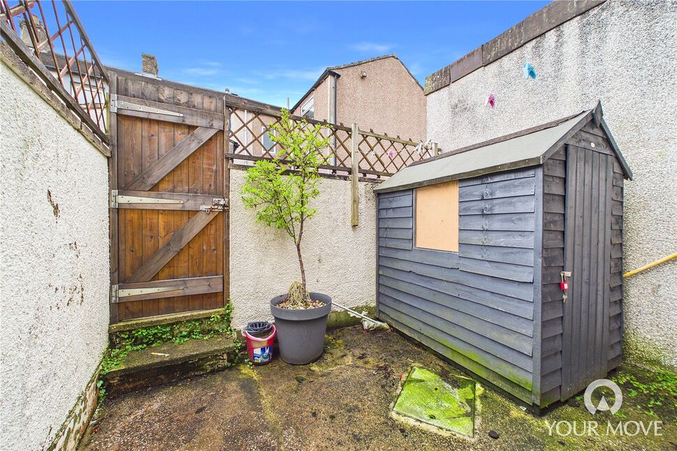Rear Yard