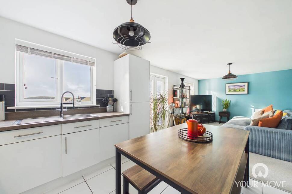 Kitchen / Living Area