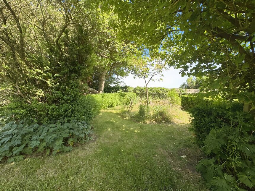 Image 15