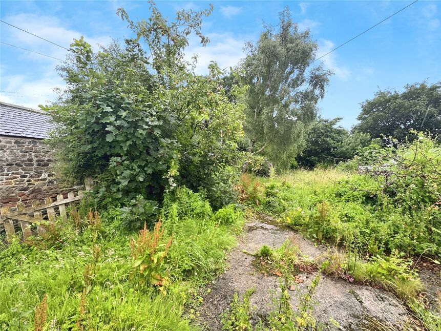 Image 14
