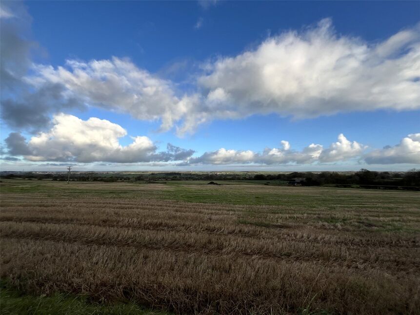Image 13