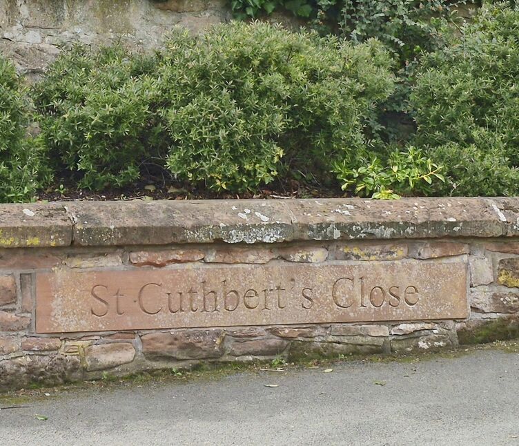 Image 11