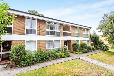 1 bedroom  Flat to rent