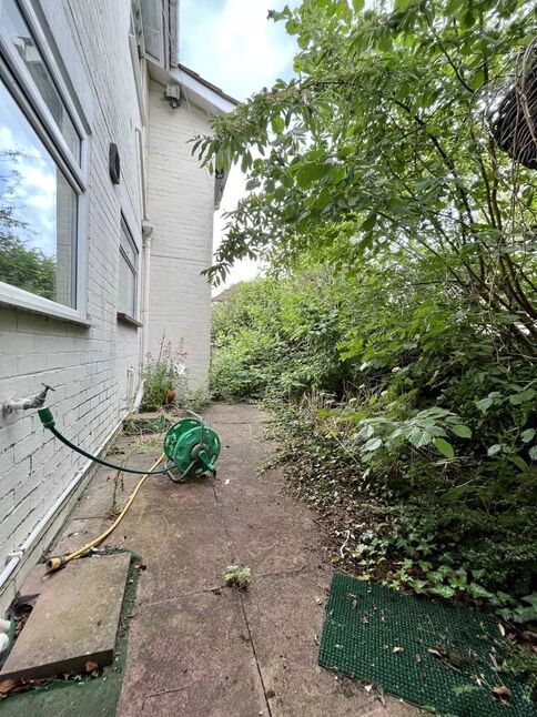 Image 14