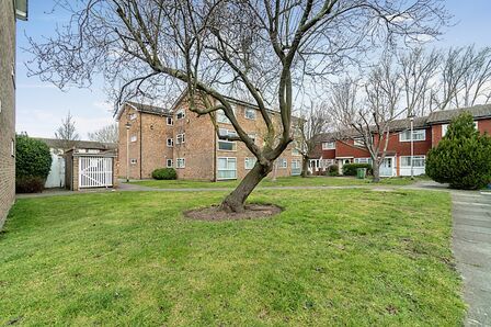 1 bedroom Flat to rent