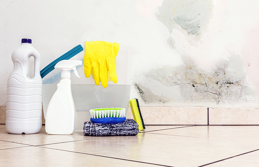 Cleaning products and damp on wall