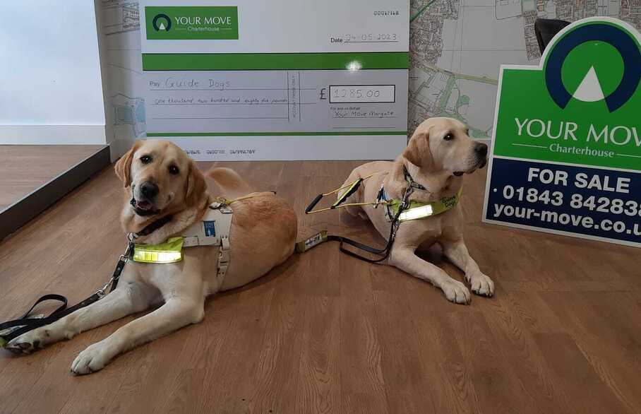 your-move-margate-donate-to-guide-dogs-charity