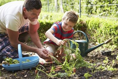 Father and son gardening