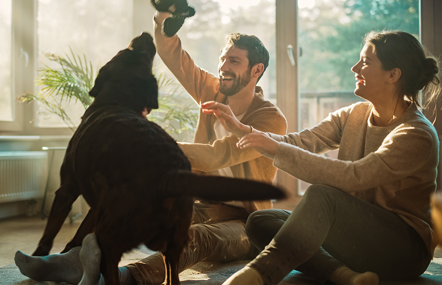 Happy couple with dog