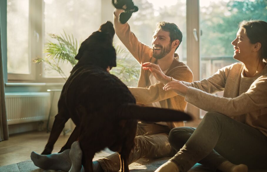 People playing with dog