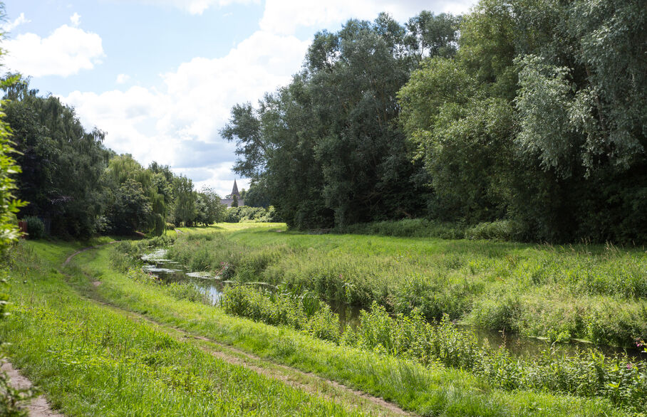 A view of Huntington river Foss