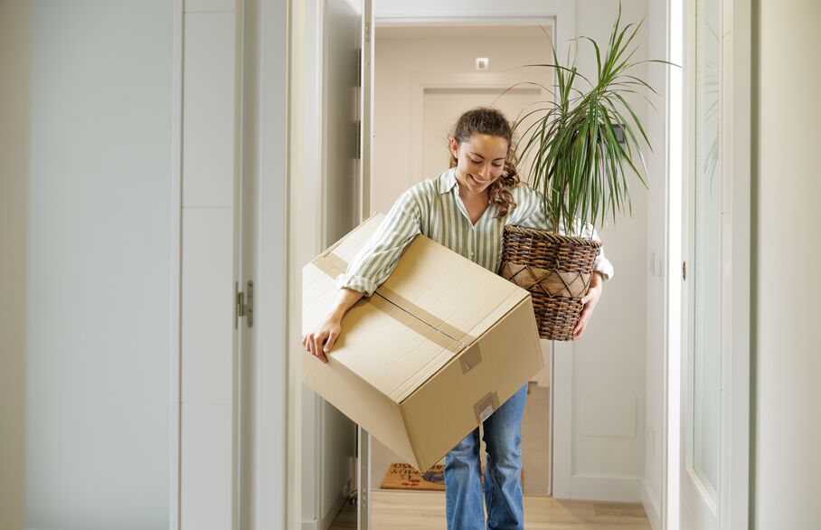 Person carry a box and plant