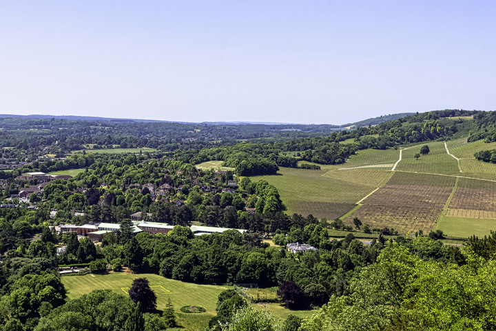 Wallington area guide