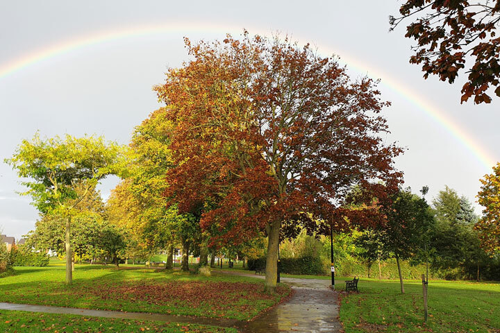 Shirley Park